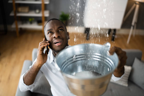 Best Water damage contractors near me  in Pleasant Run Farm, OH