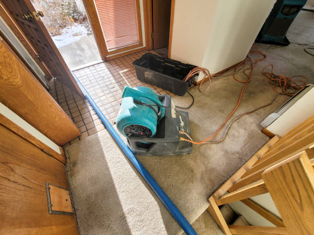  Pleasant Run Farm, OH Water damage restoration Pros