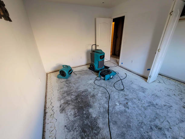 Best Sewage cleanup and water damage restoration  in Pleasant Run Farm, OH