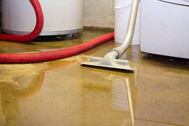 Best Mold removal after water damage  in Pleasant Run Farm, OH