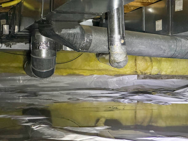 Best Water damage restoration near me  in Pleasant Run Farm, OH