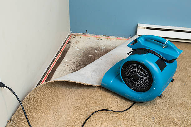 Best Mold removal after water damage  in Pleasant Run Farm, OH